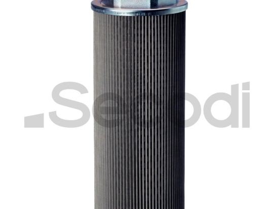 SEH-50-2-100 SUC. STRAINER